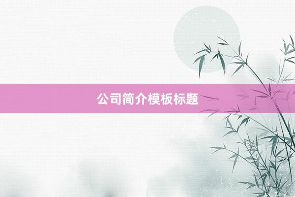 公司简介模板标题